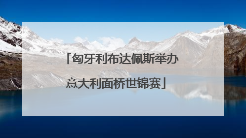 匈牙利布达佩斯举办意大利面桥世锦赛
