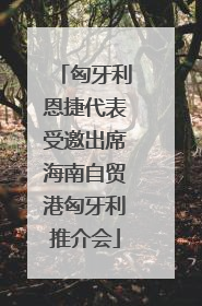 匈牙利恩捷代表受邀出席海南自贸港匈牙利推介会