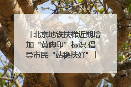 北京地铁扶梯近期增加“黄脚印”标识 倡导市民“站稳扶好”