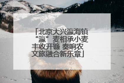 北京大兴瀛海镇“瀛”麦相承小麦丰收开镰 奏响农文旅融合新乐章