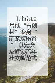 北京10号线“青创村”变身“萌宠欢乐谷” 以宠会友解锁青年社交新范式