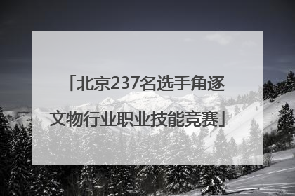 北京237名选手角逐文物行业职业技能竞赛