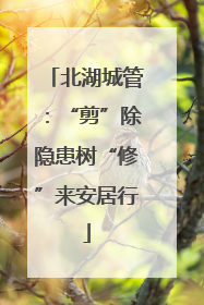 北湖城管：“剪”除隐患树“修”来安居行