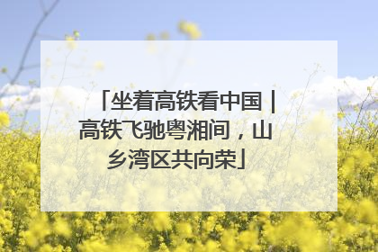 坐着高铁看中国｜高铁飞驰粤湘间，山乡湾区共向荣