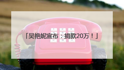 吴艳妮宣布：捐款20万！