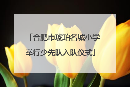 合肥市琥珀名城小学举行少先队入队仪式