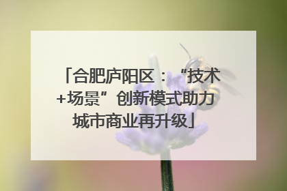 合肥庐阳区：“技术+场景”创新模式助力城市商业再升级