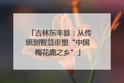 吉林东丰县：从传统到智慧重塑“中国梅花鹿之乡”