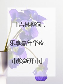 吉林桦甸：乐享嘉年华夜市焕新开市