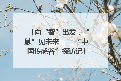向“智”出发，“触”见未来——“中国传感谷”探访记