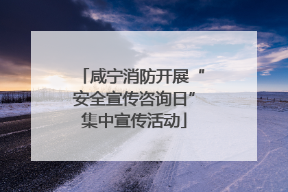 咸宁消防开展“安全宣传咨询日”集中宣传活动