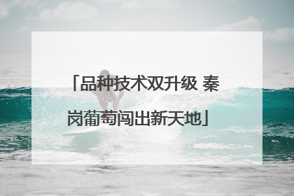 品种技术双升级 秦岗葡萄闯出新天地