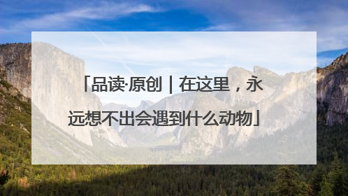 品读·原创｜在这里，永远想不出会遇到什么动物