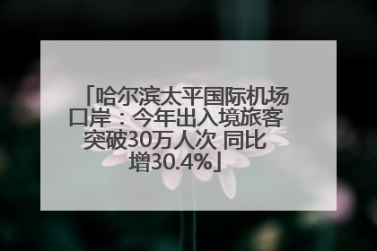 哈尔滨太平国际机场口岸：今年出入境旅客突破30万人次 同比增30.4%