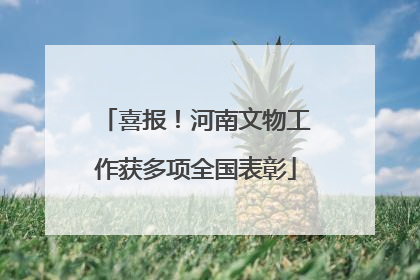 喜报！河南文物工作获多项全国表彰