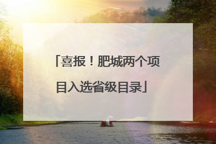 喜报！肥城两个项目入选省级目录