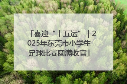 喜迎“十五运”｜2025年东莞市小学生足球比赛圆满收官