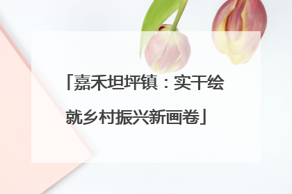 嘉禾坦坪镇：实干绘就乡村振兴新画卷