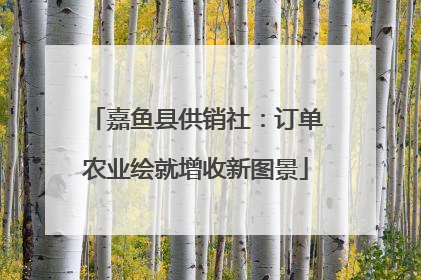 嘉鱼县供销社：订单农业绘就增收新图景