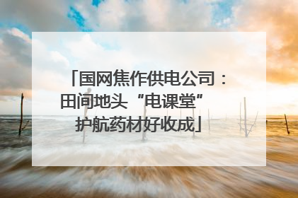 国网焦作供电公司：田间地头“电课堂” 护航药材好收成
