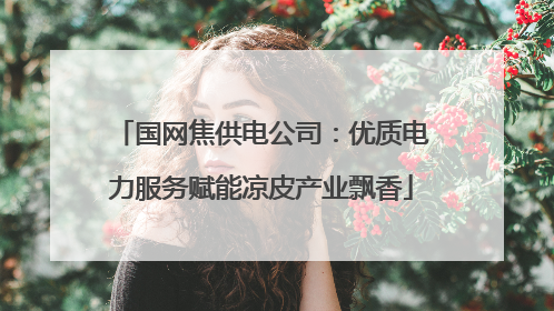 国网焦供电公司：优质电力服务赋能凉皮产业飘香