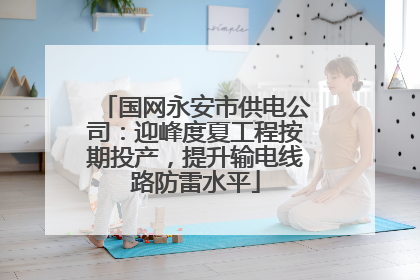 国网永安市供电公司：迎峰度夏工程按期投产，提升输电线路防雷水平