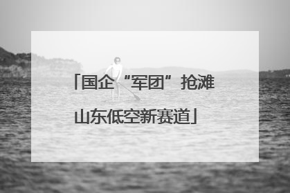 国企“军团”抢滩山东低空新赛道