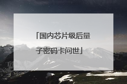 国内芯片级后量子密码卡问世