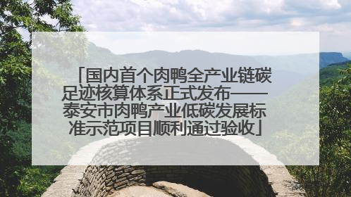 国内首个肉鸭全产业链碳足迹核算体系正式发布——泰安市肉鸭产业低碳发展标准示范项目顺利通过验收