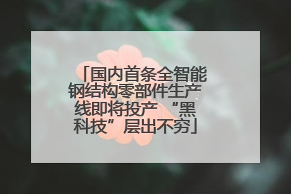 国内首条全智能钢结构零部件生产线即将投产 “黑科技”层出不穷