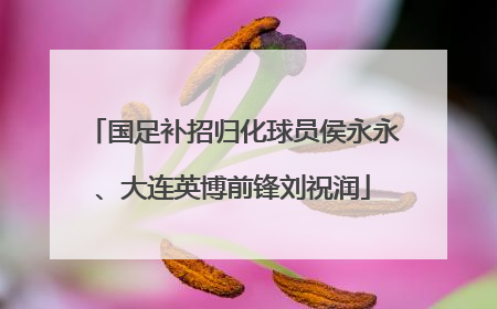 国足补招归化球员侯永永、大连英博前锋刘祝润