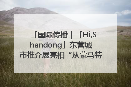 国际传播｜「Hi,Shandong」东营城市推介展亮相“从蒙马特到加里波第”文化节