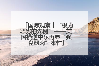 国际观察丨“极为恶劣的先例”——美国横逆中东再显“强食弱肉”本性