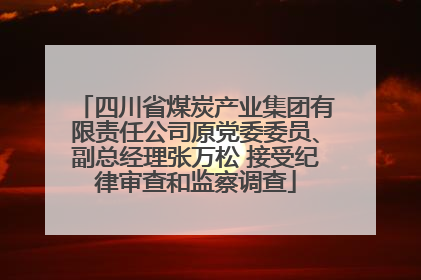 四川省煤炭产业集团有限责任公司原党委委员、副总经理张万松 接受纪律审查和监察调查