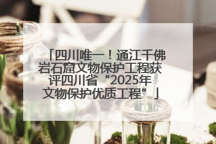 四川唯一！通江千佛岩石窟文物保护工程获评四川省“2025年文物保护优质工程”