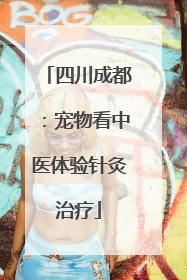 四川成都：宠物看中医体验针灸治疗