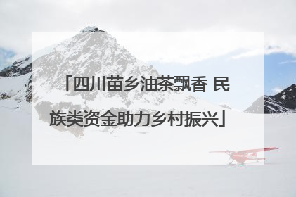 四川苗乡油茶飘香 民族类资金助力乡村振兴