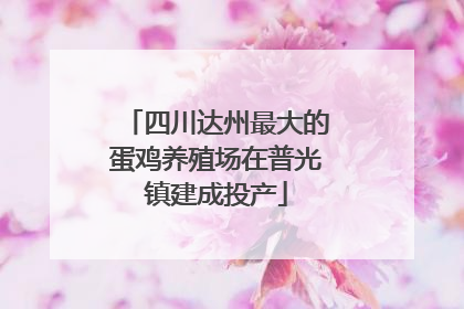 四川达州最大的蛋鸡养殖场在普光镇建成投产