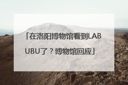 在洛阳博物馆看到LABUBU了？博物馆回应