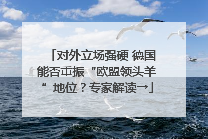 对外立场强硬 德国能否重振“欧盟领头羊”地位？专家解读→