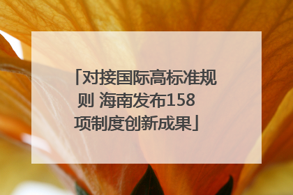 对接国际高标准规则 海南发布158项制度创新成果
