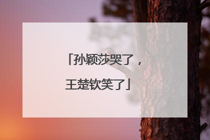 孙颖莎哭了，王楚钦笑了