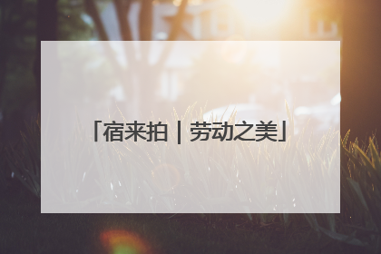 宿来拍｜劳动之美