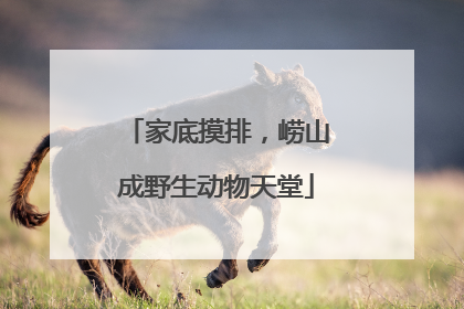家底摸排，崂山成野生动物天堂