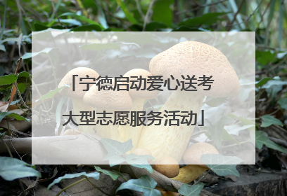 宁德启动爱心送考大型志愿服务活动