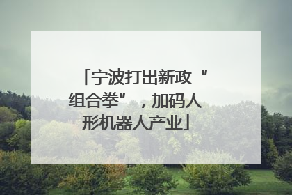 宁波打出新政“组合拳”，加码人形机器人产业