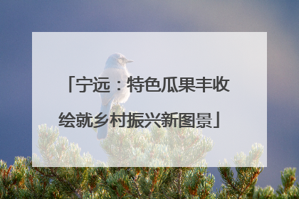 宁远：特色瓜果丰收绘就乡村振兴新图景