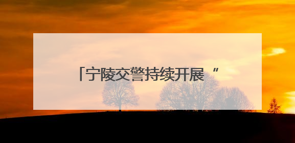 宁陵交警持续开展“一盔一带”“礼让斑马线”主题公益宣传活