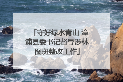 守好绿水青山 漳浦县委书记督导涉林图斑整改工作