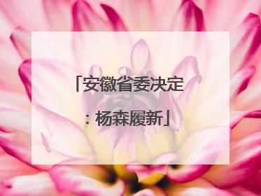 安徽省委决定：杨森履新